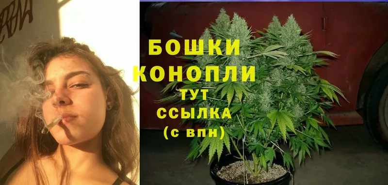 darknet Telegram  Микунь  Канабис SATIVA & INDICA 